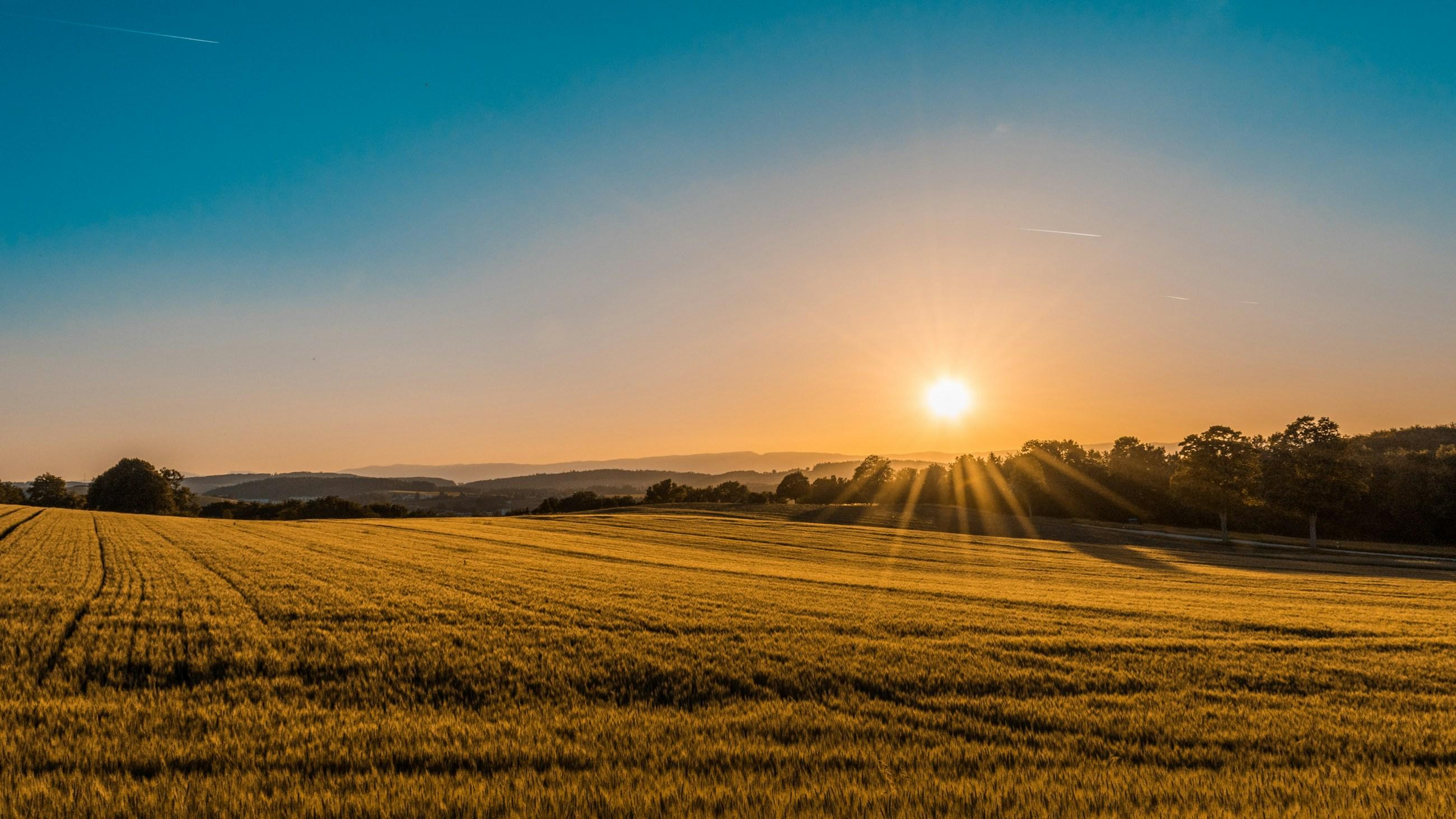 Low sun over open farmland at dusk, with wooded hills along the horizon.
